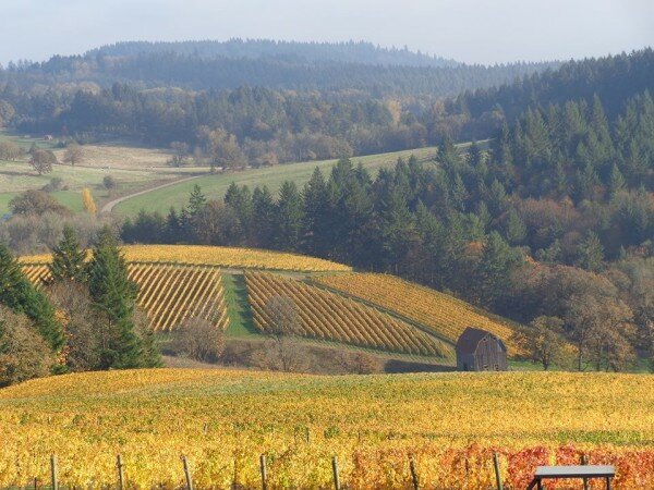 Willamette Valley Wine Tours
