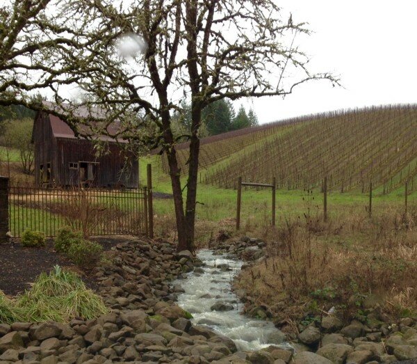 Go wine tasting in the beautiful Pacific Northwest Oregon and SW Washington with Wine Dirt Tours